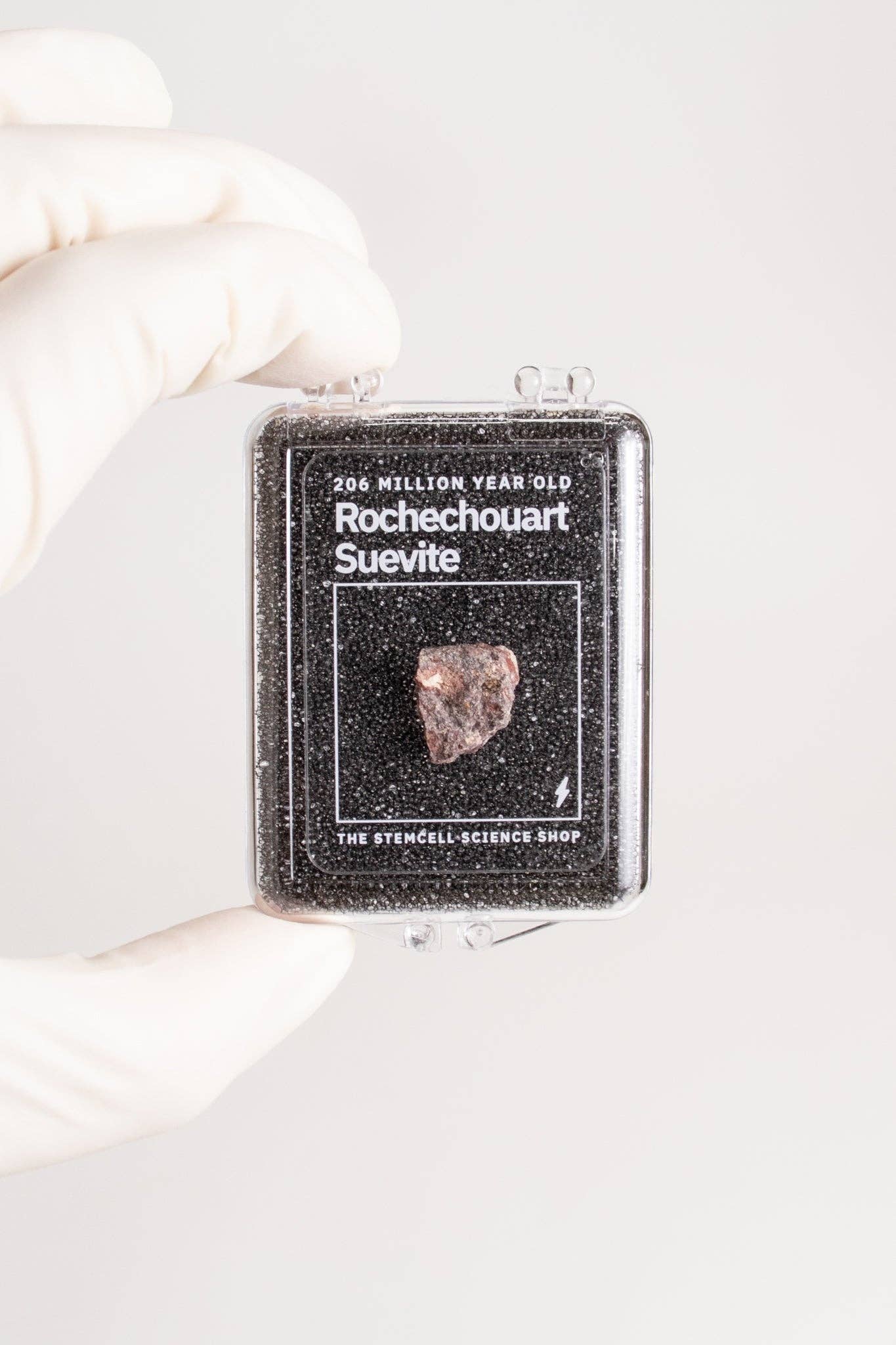 Suevite Fragment