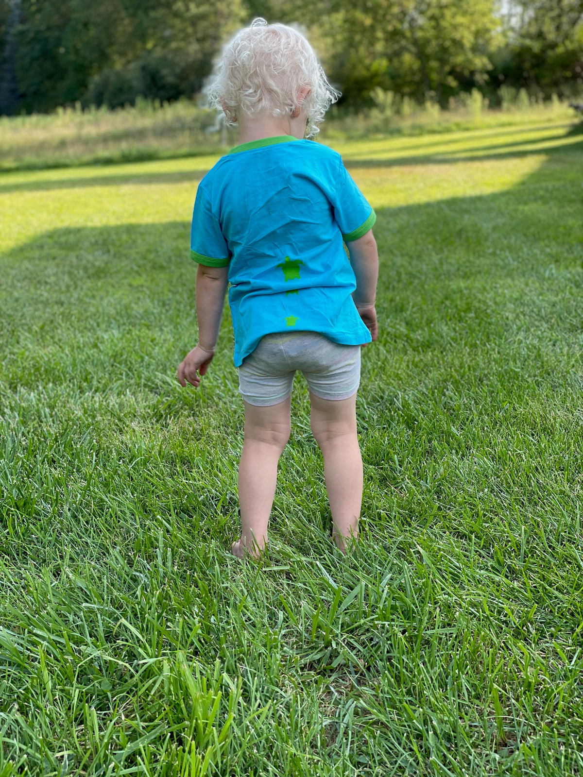 Sea Turtle Toddler and Kids Shirt: 3T