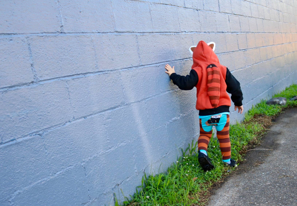 Red Panda 3D Hoodie - Kids & Toddler: 3T