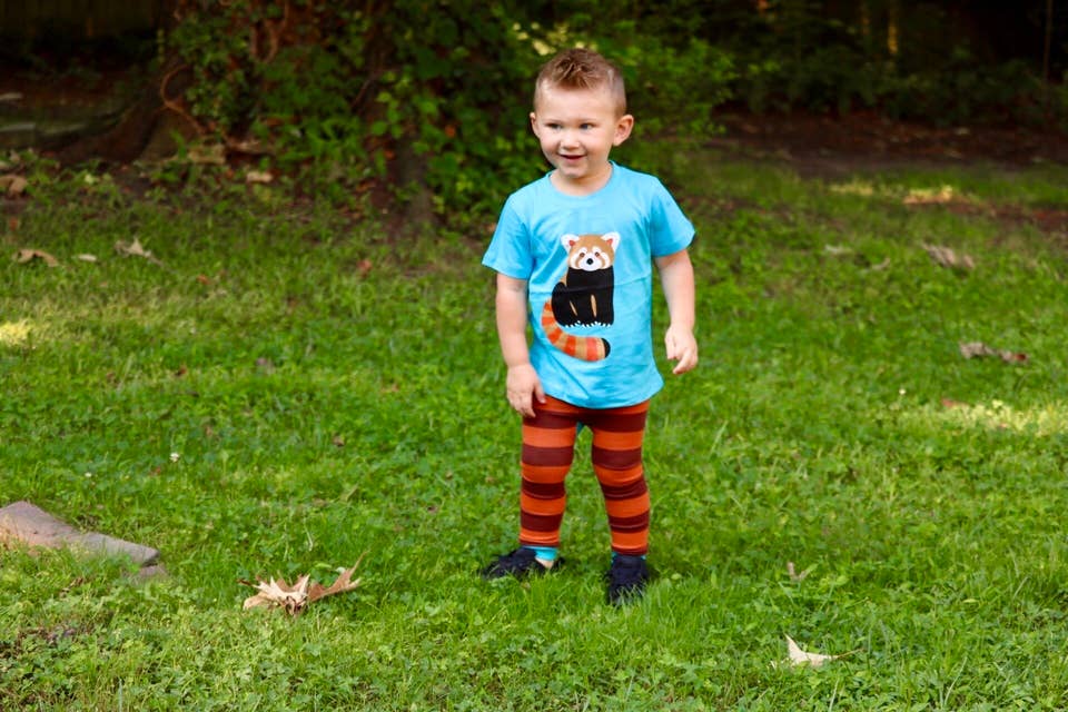 Red Panda Toddler and Kids Shirt: 3T