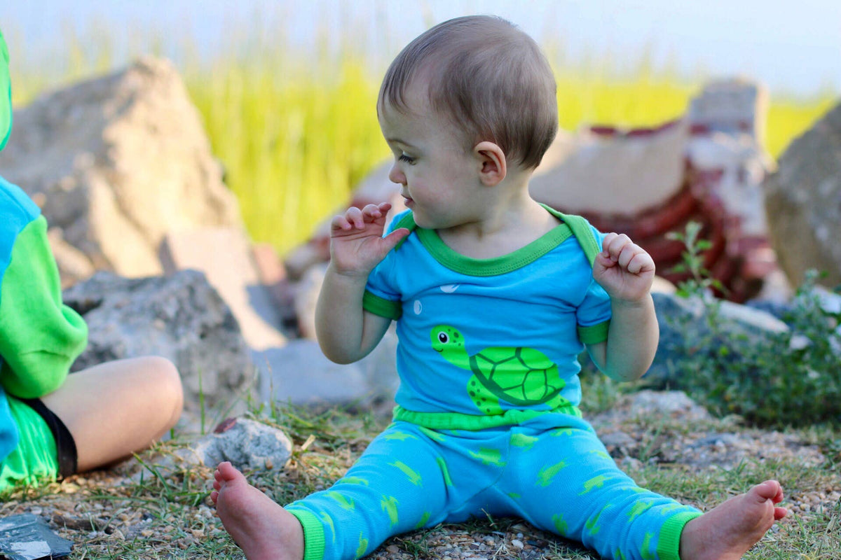 Sea Turtle Baby Bodysuit: 6 Months
