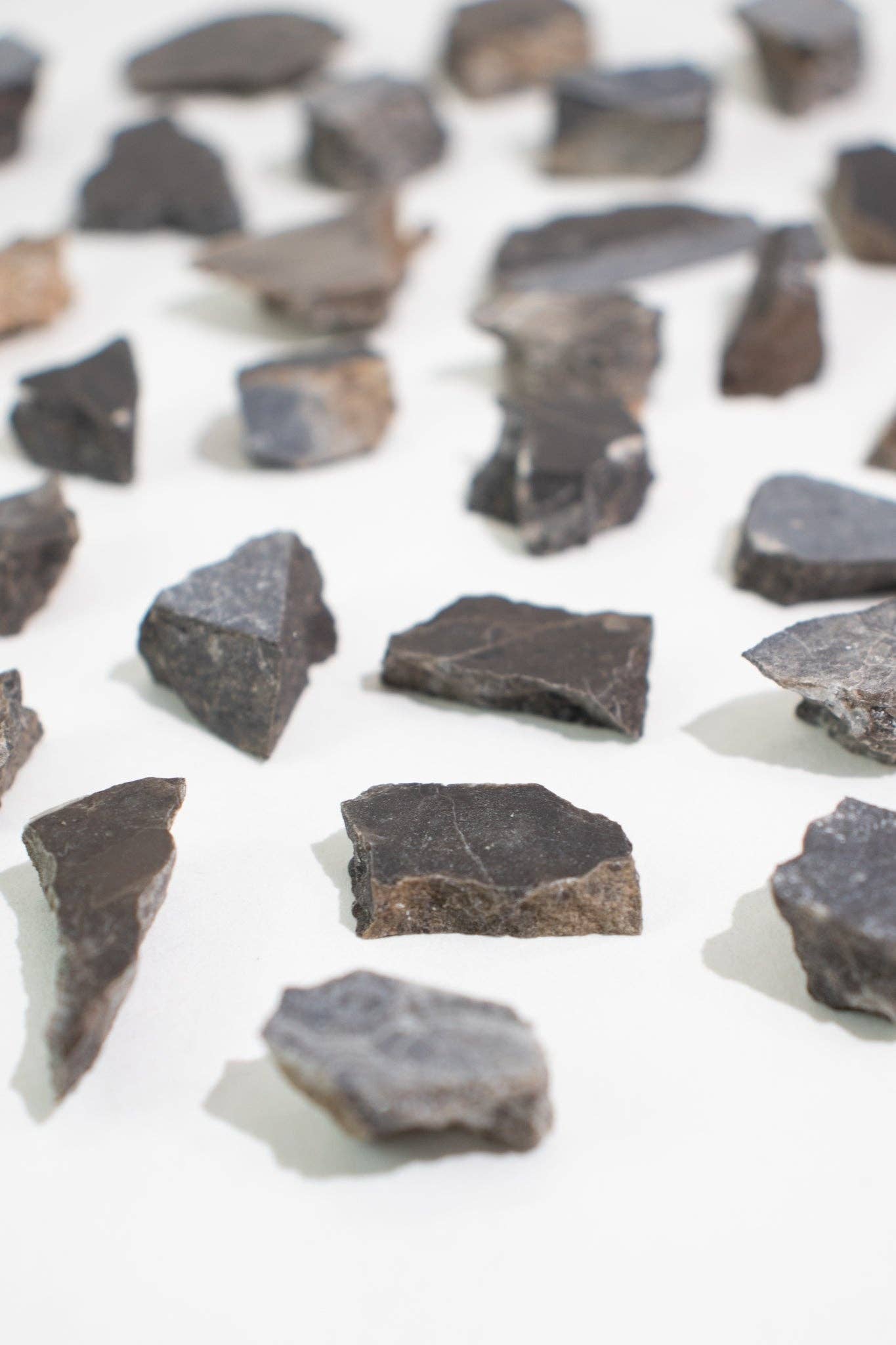 Suevite Fragment