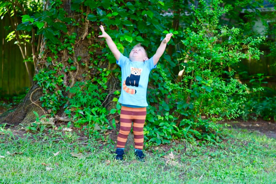 Red Panda Toddler and Kids Shirt: 3T