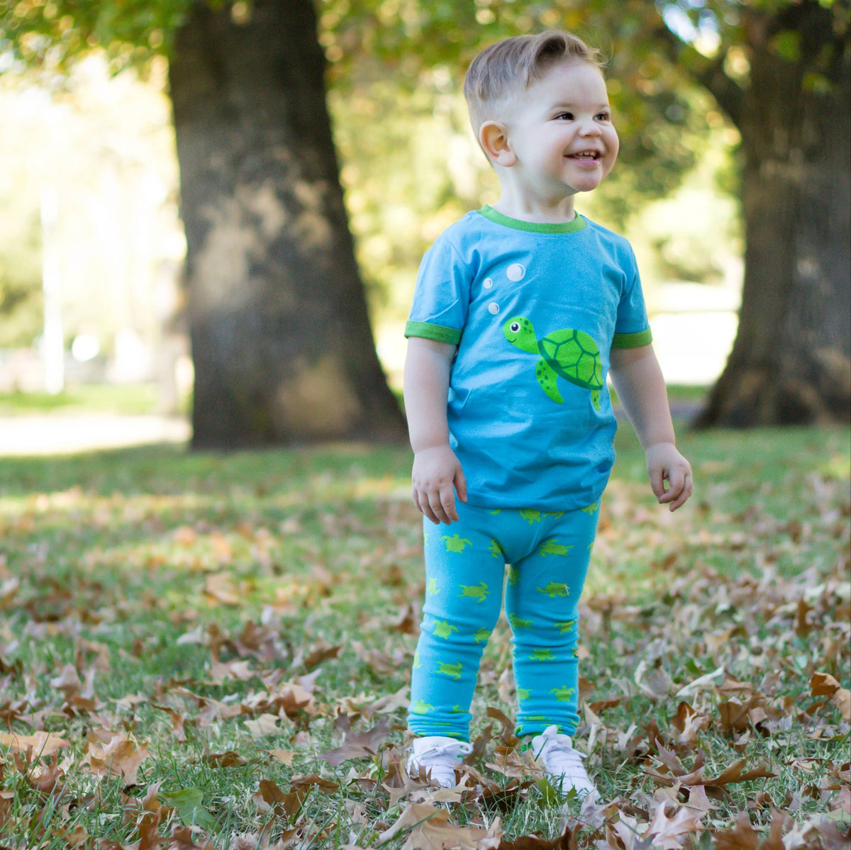 Sea Turtle Toddler and Kids Shirt: 3T