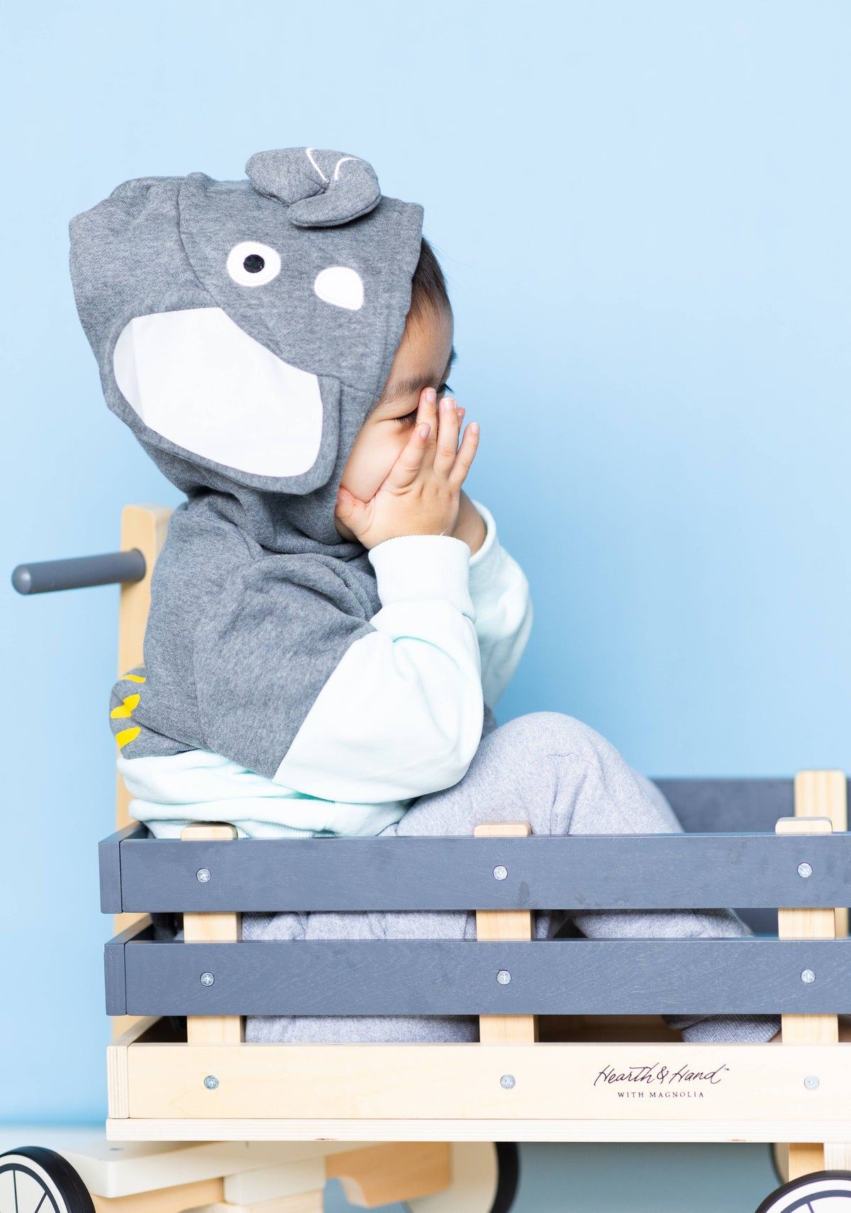 Sunny Elephant 3D Hoodie - Kids & Toddler: 3T