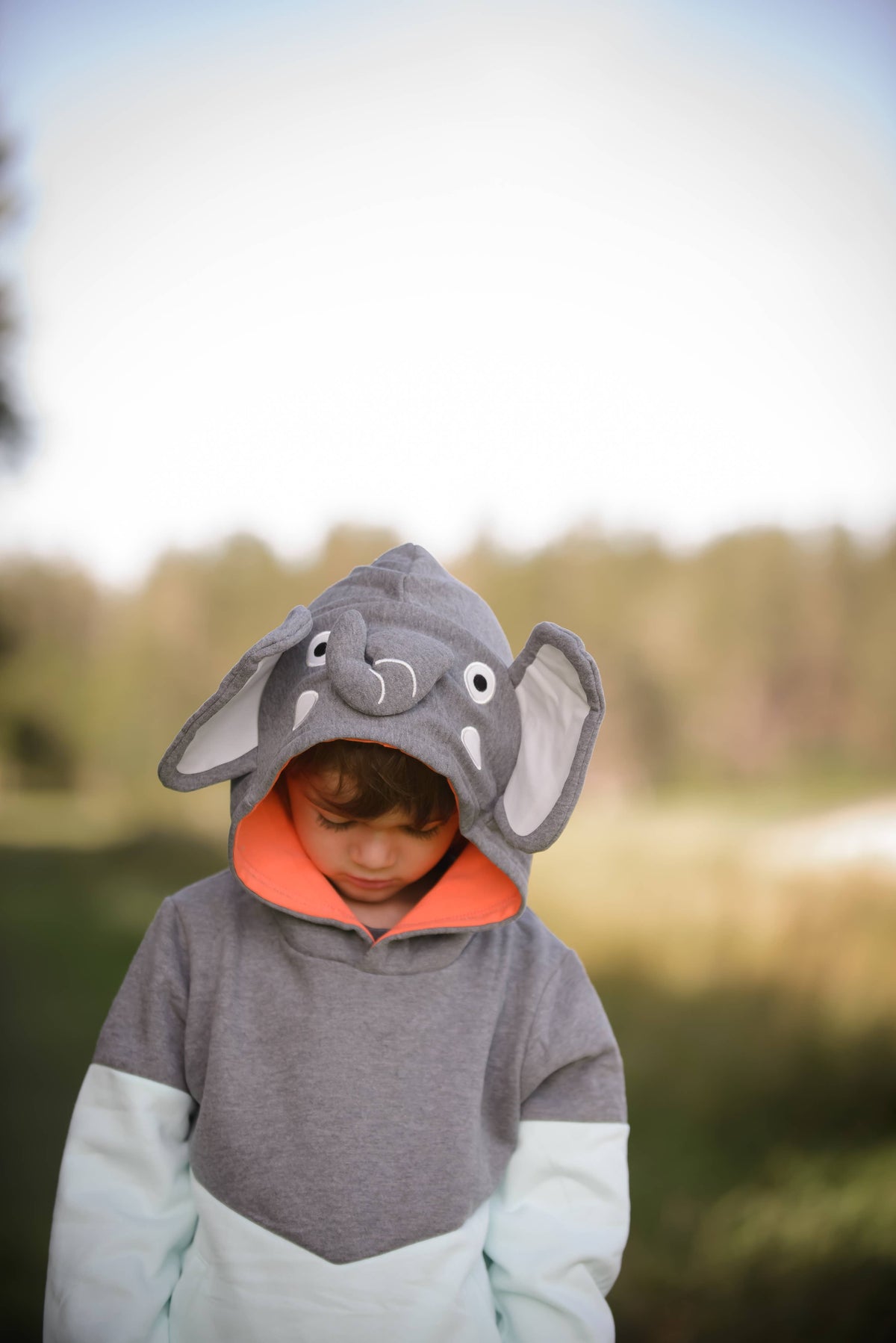Sunny Elephant 3D Hoodie - Kids & Toddler: 3T