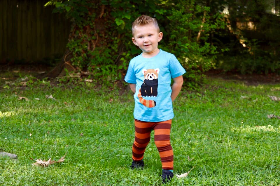 Red Panda Toddler and Kids Shirt: 3T