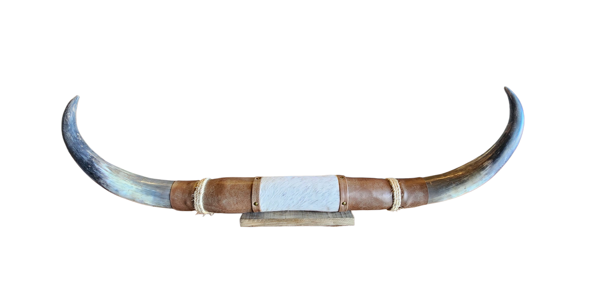 Unassembled assorted steer Longhorns 3.5 to 4ft long