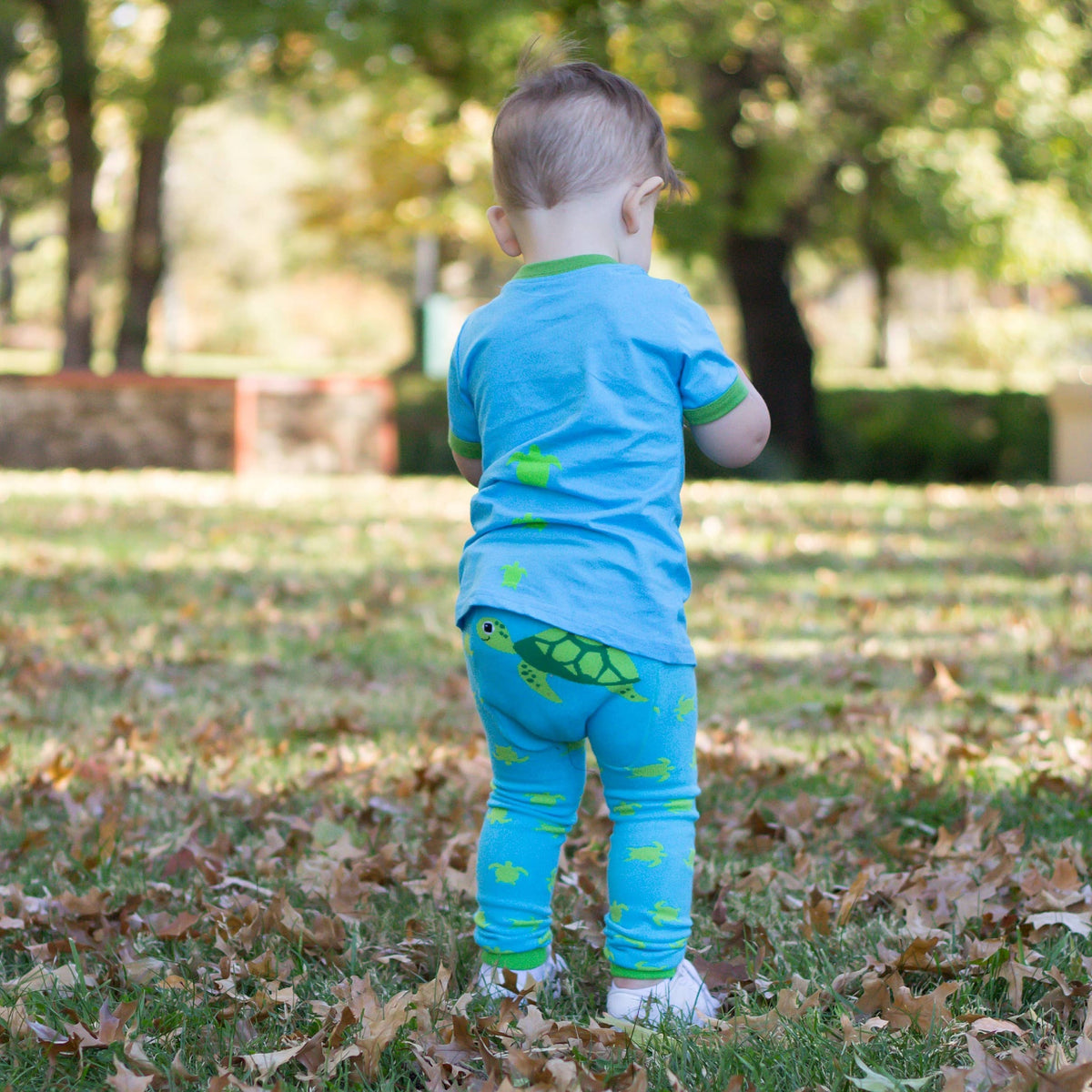 Sea Turtle Toddler and Kids Shirt: 3T