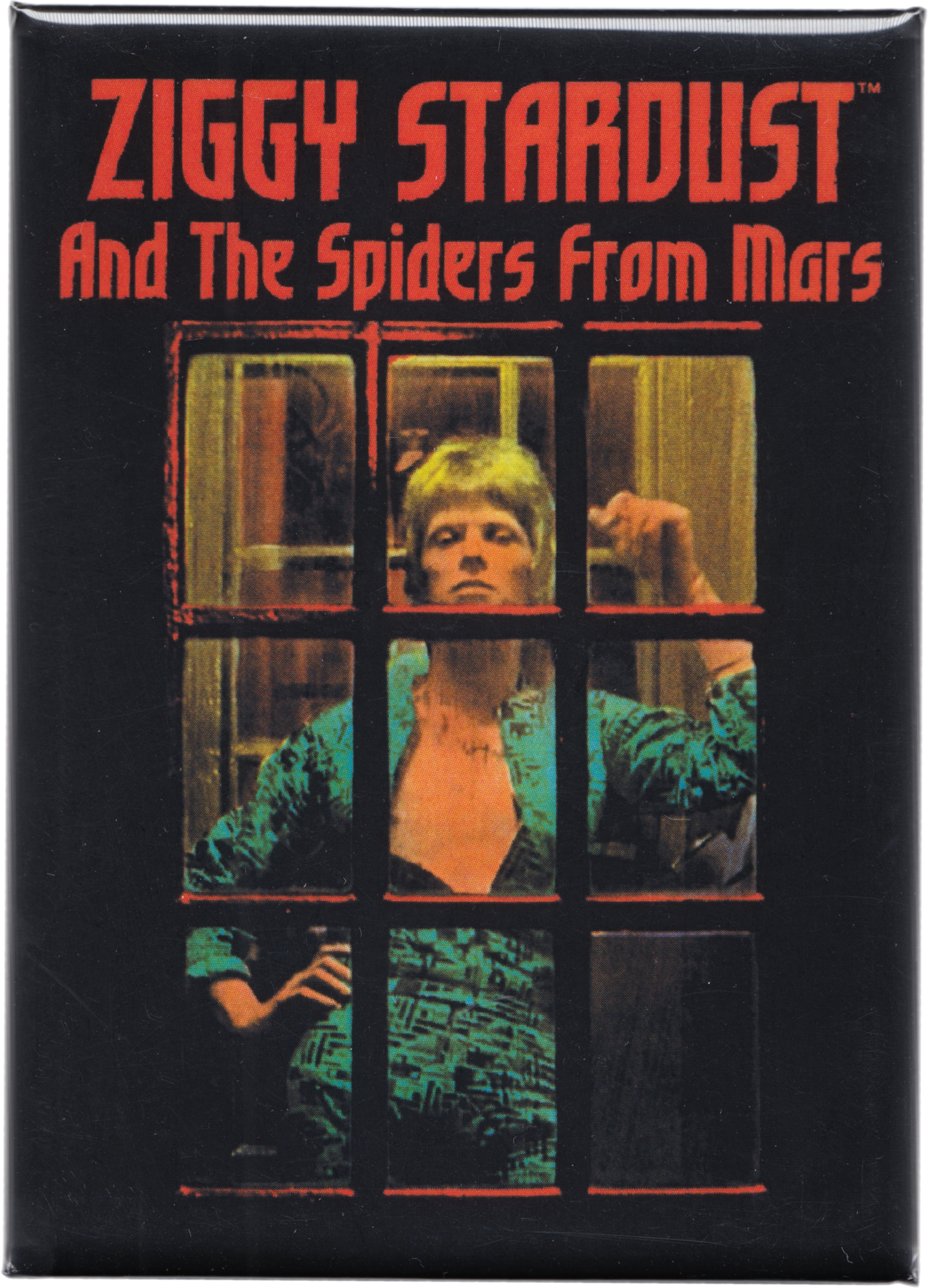 Magnet - David Bowie Ziggy Stardust - 1970s Glam Rock Music