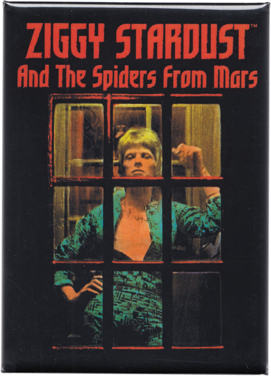 Magnet - David Bowie Ziggy Stardust - 1970s Glam Rock Music