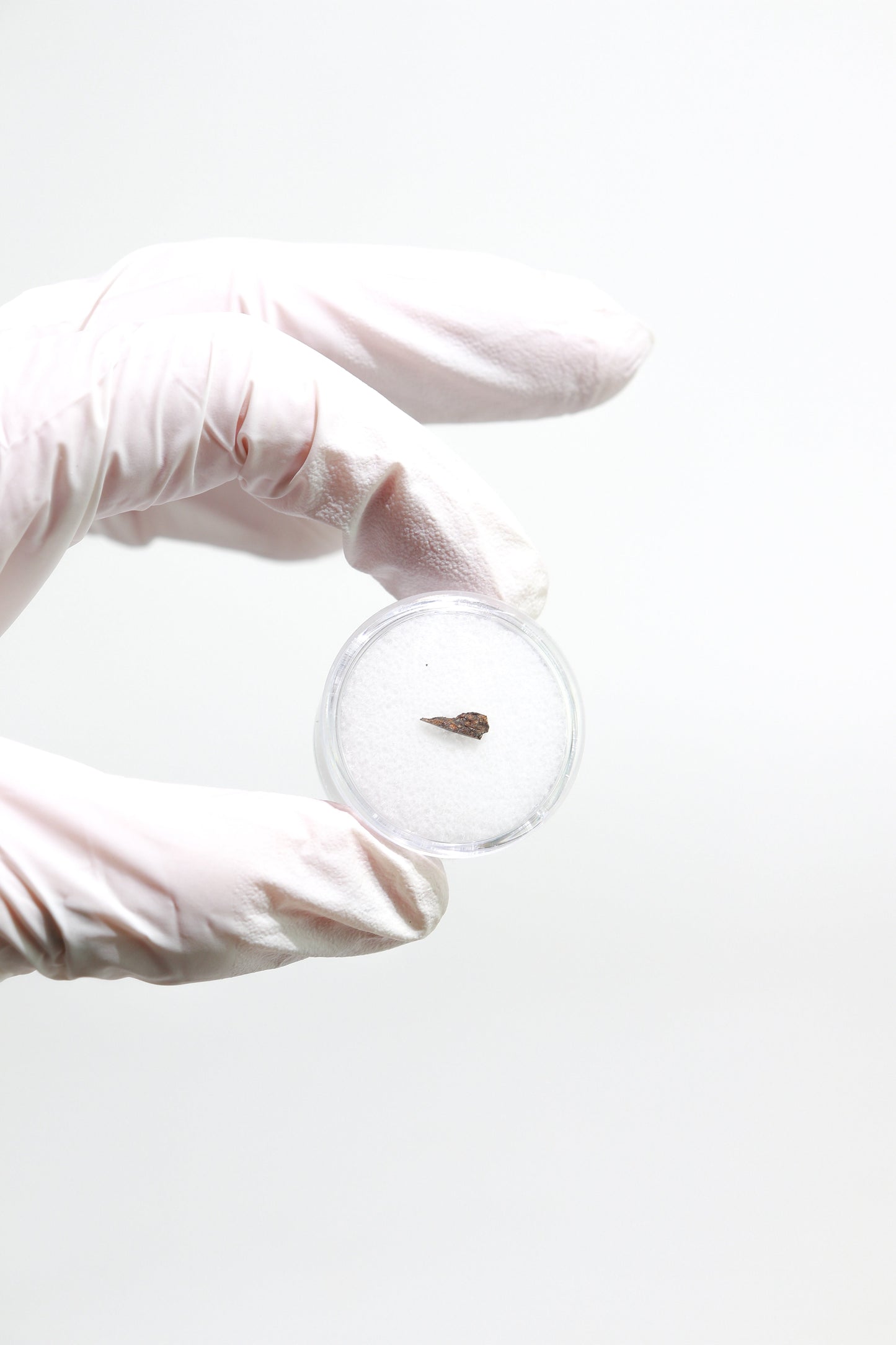 Meteorite Blind Bag: Cosmology Series 1 (Limited Run)