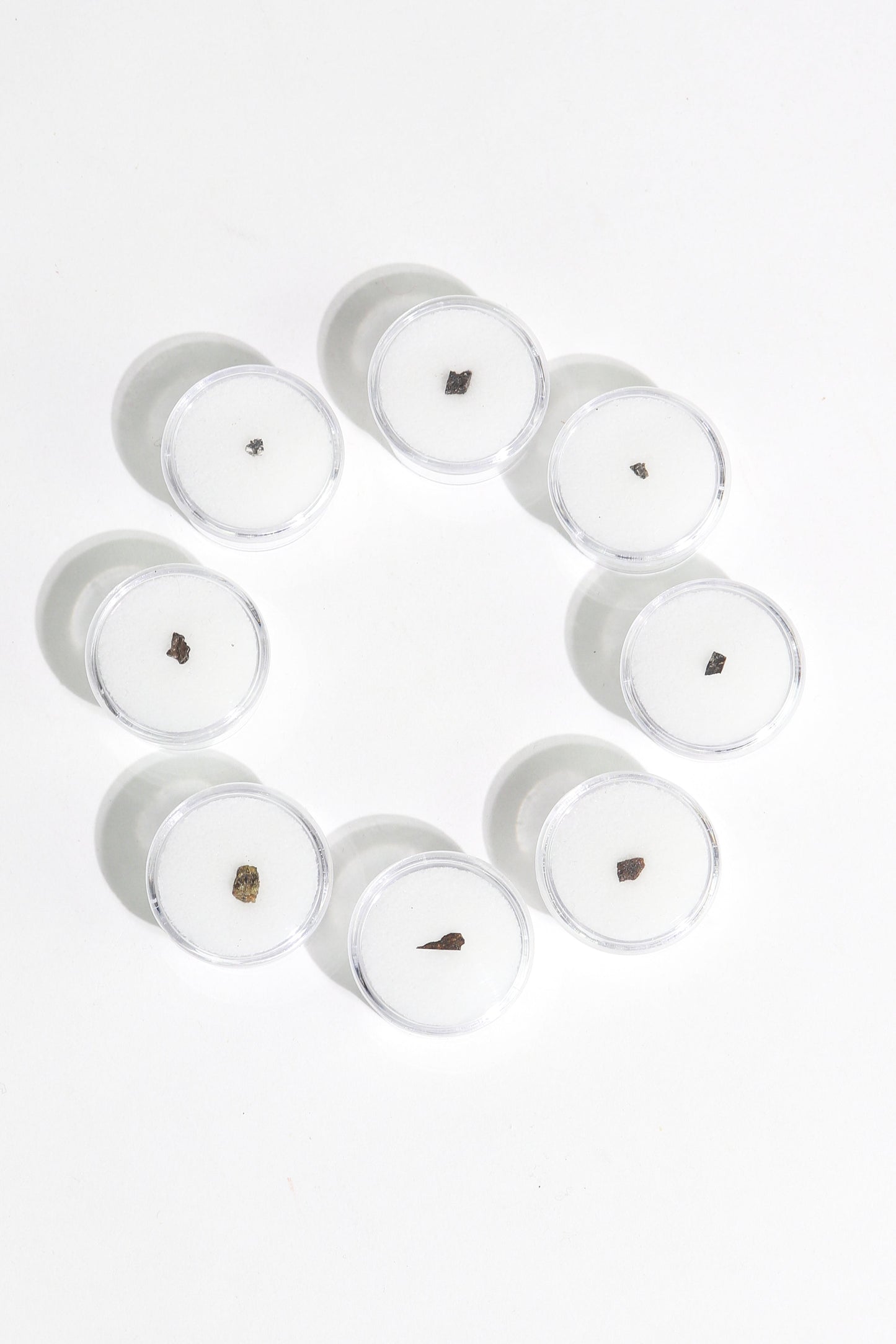 Meteorite Blind Bag: Cosmology Series 1 (Limited Run)