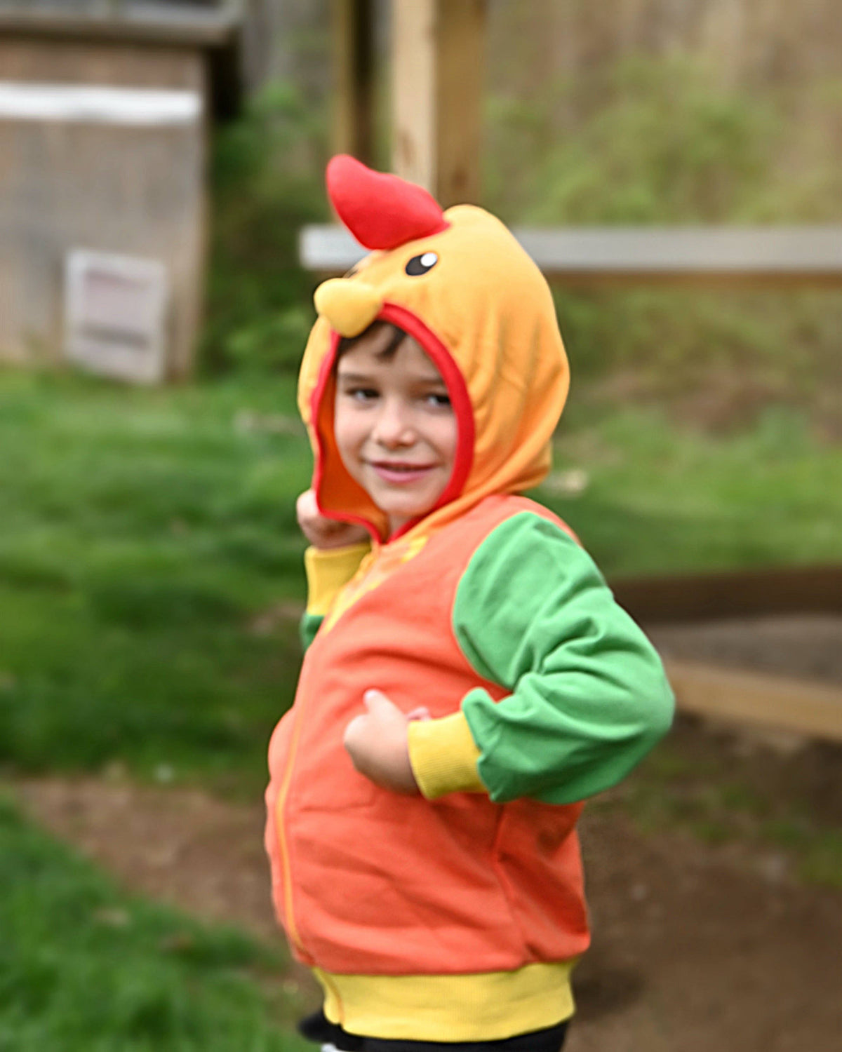 Rocket the Rooster 3D Hoodie - Western: 3T