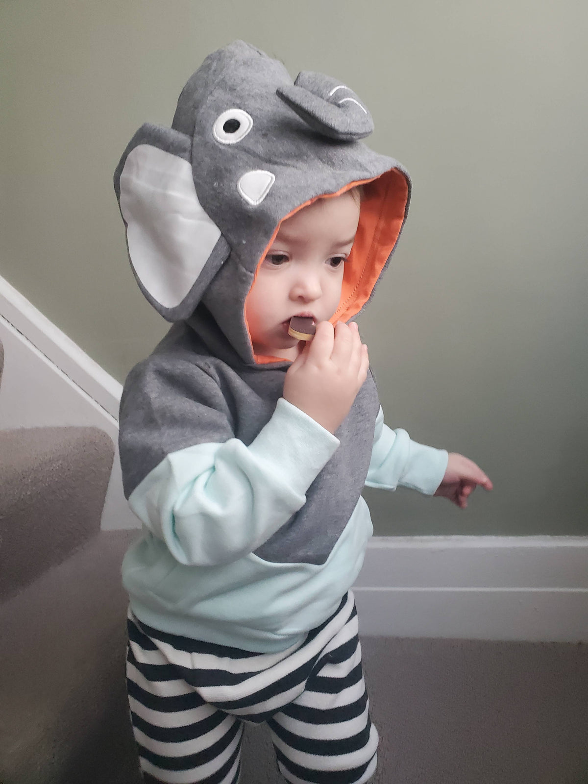 Sunny Elephant 3D Hoodie - Kids & Toddler: 3T