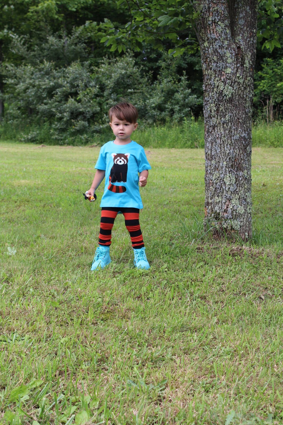 Red Panda Toddler and Kids Shirt: 3T