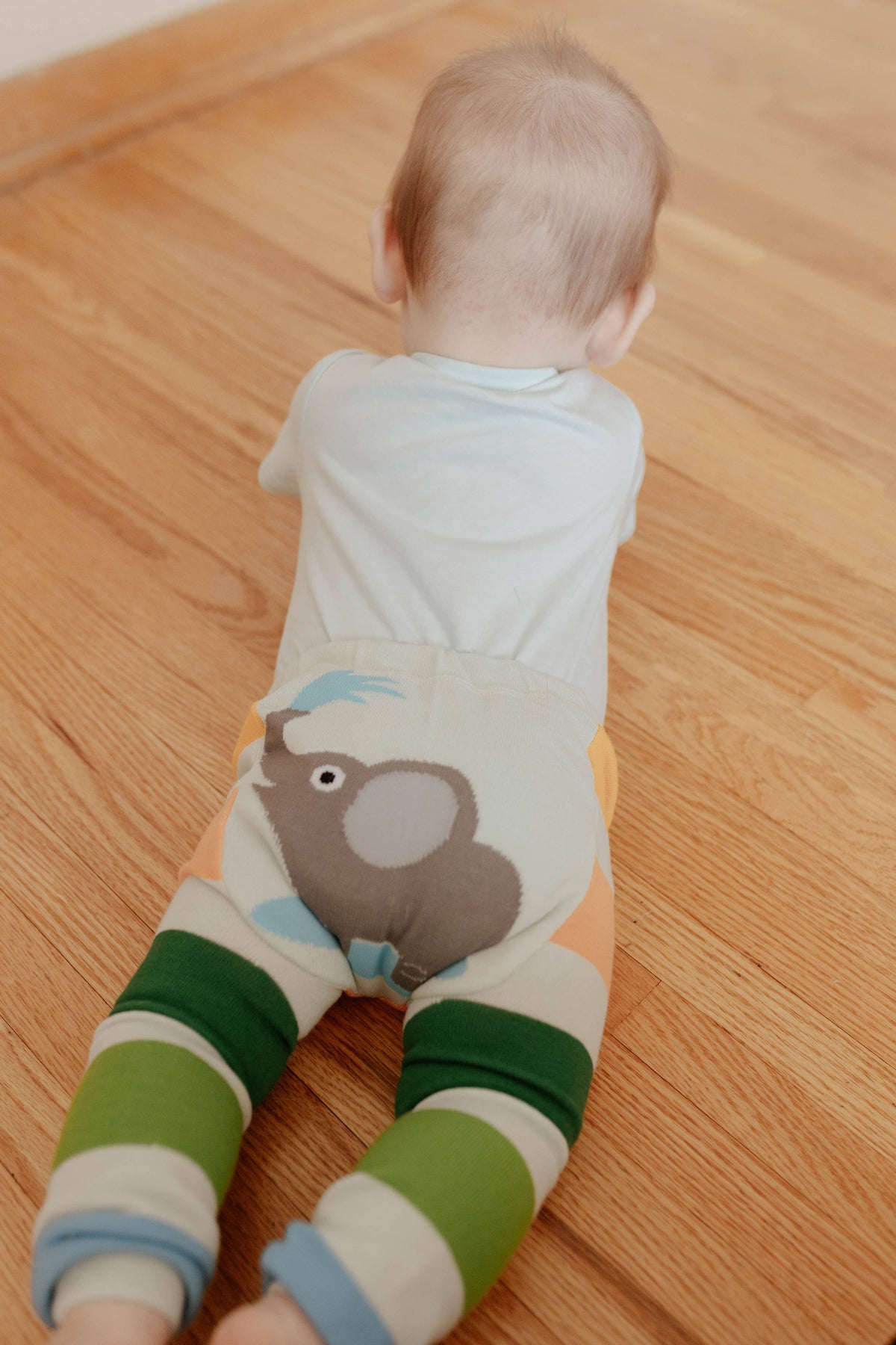 Sunny Elephant Baby and Toddler Leggings: Large 18 - 24 Months