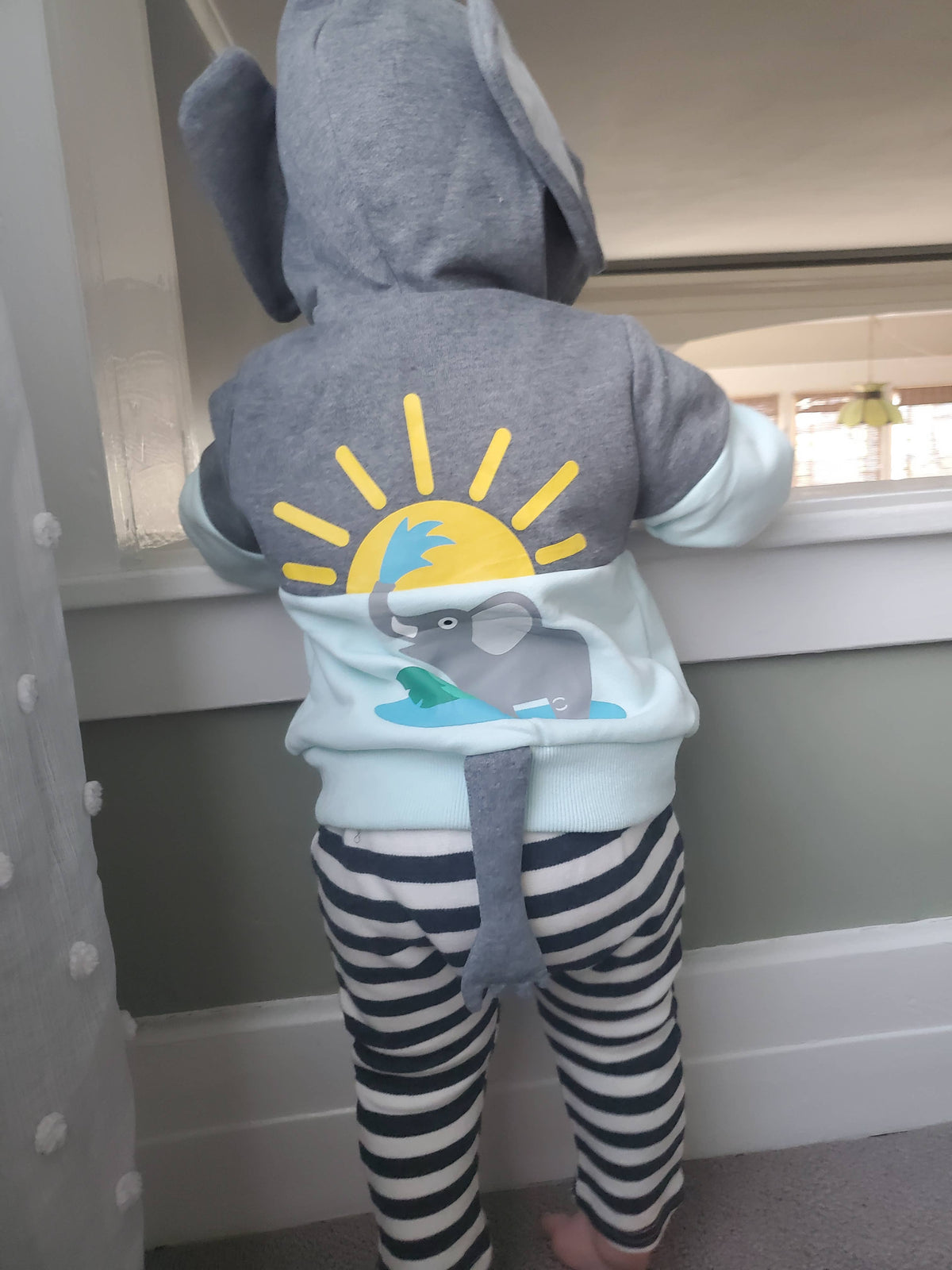 Sunny Elephant 3D Hoodie - Kids & Toddler: 3T
