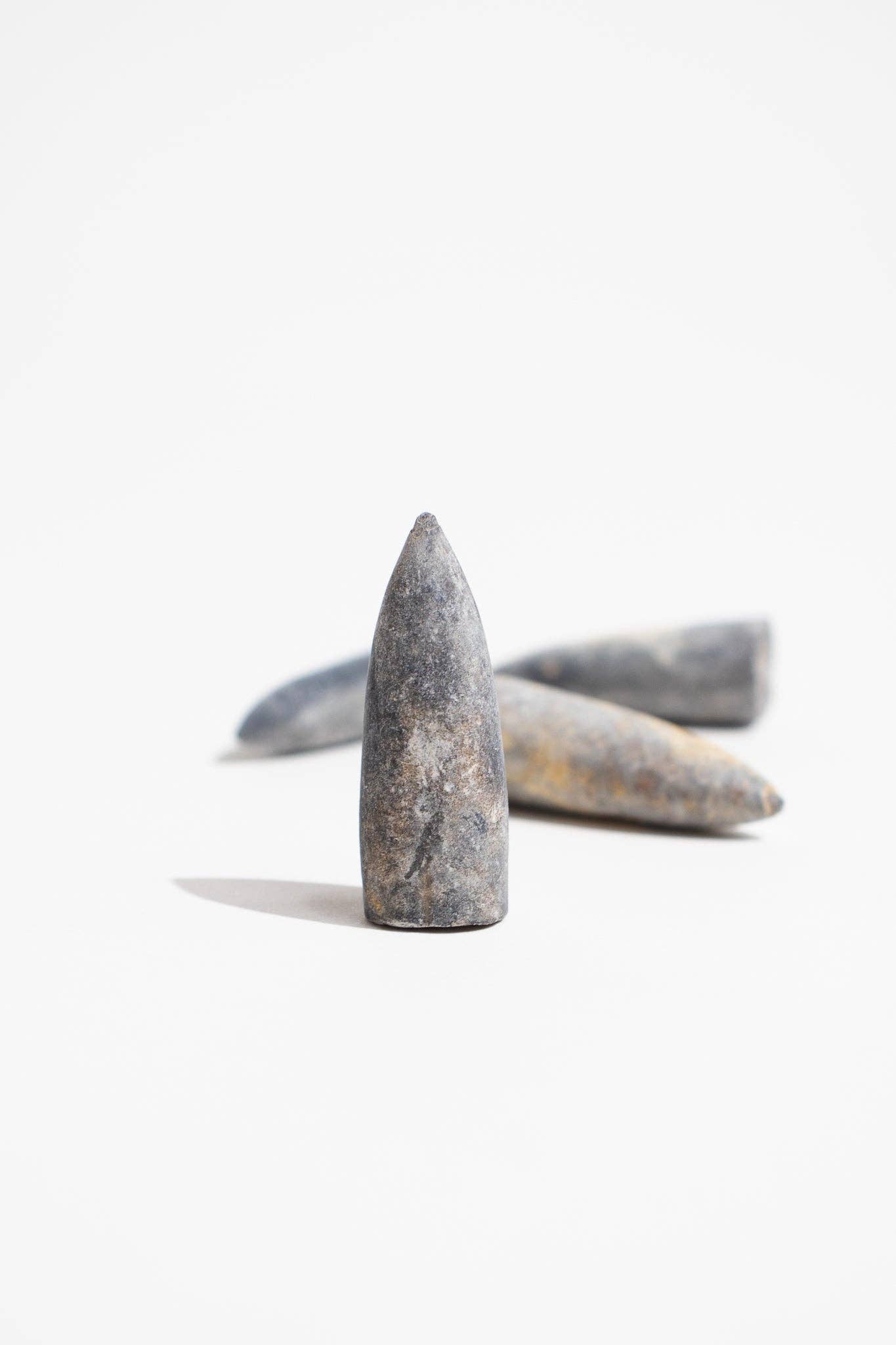 Belemnite Fossil