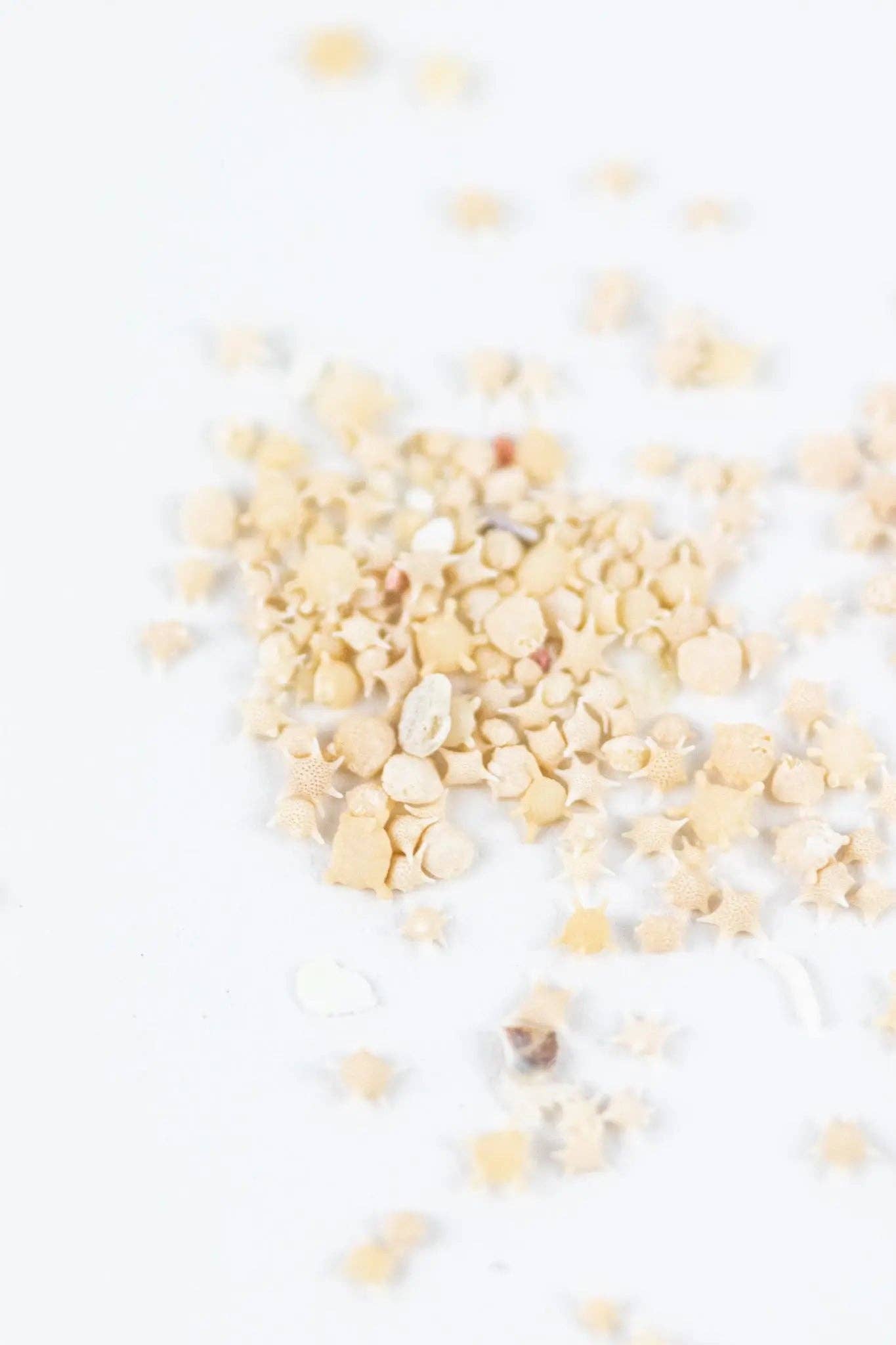 Japanese Star Sand