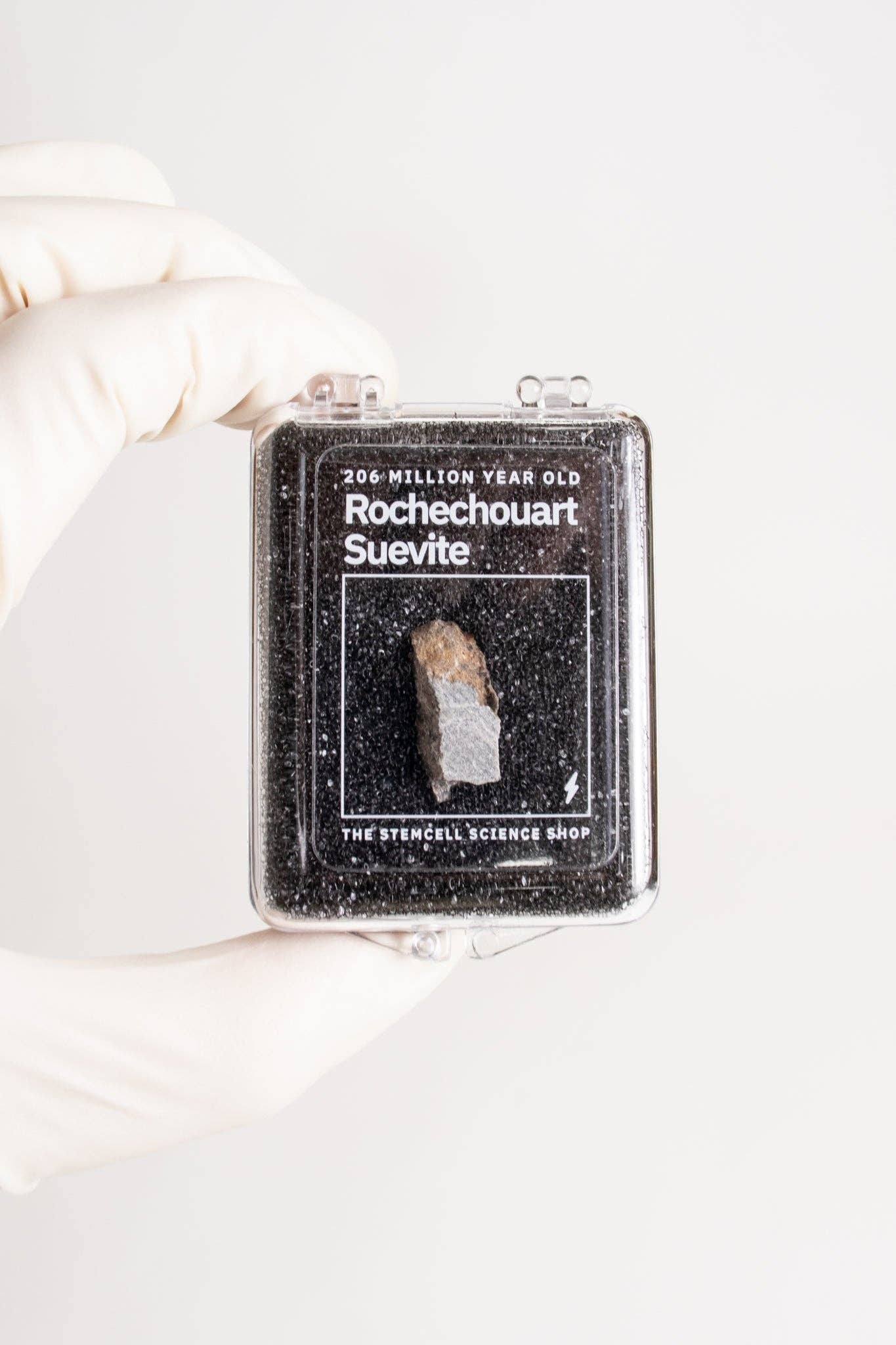 Suevite Fragment