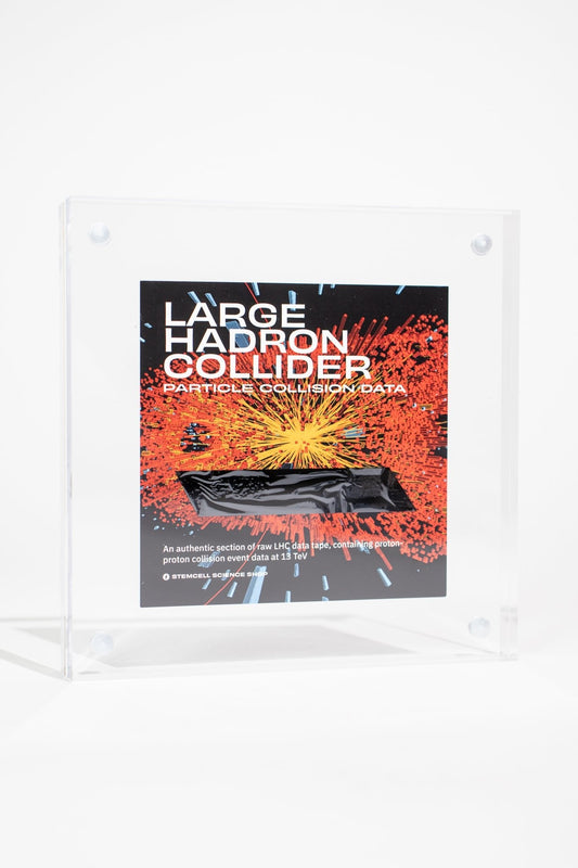 LHC Data Tape Fragment